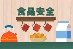 国务院食品安全办有关负责人就2019年食品安全重点工作安排答记者问